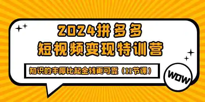 （9817期）2024拼多多短视频变现特训营，知识的丰厚比起金钱更可靠（11节课）-韬哥副业项目资源网