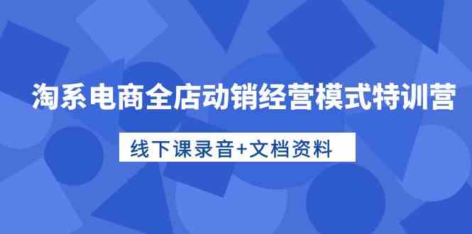 （10192期）淘系电商全店动销经营模式特训营，线下课录音+文档资料-韬哥副业项目资源网