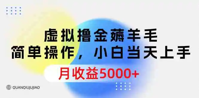 （9864期）虚拟撸金薅羊毛，简单操作，小白当天上手，月收益5000+-韬哥副业项目资源网