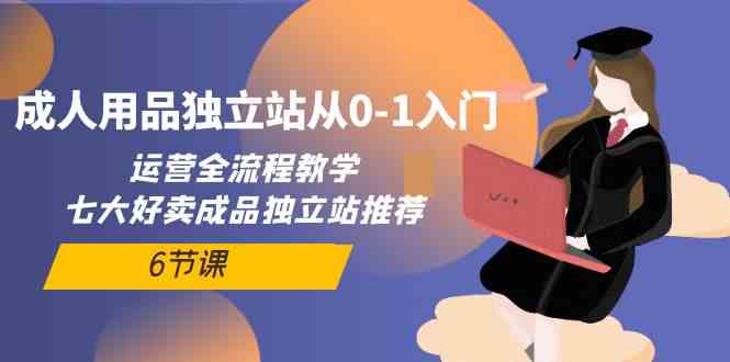 （10082期）成人用品独立站从0-1入门，运营全流程教学，七大好卖成品独立站推荐-6节课-韬哥副业项目资源网