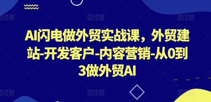 AI闪电做外贸实战课，​外贸建站-开发客户-内容营销-从0到3做外贸AI-韬哥副业项目资源网