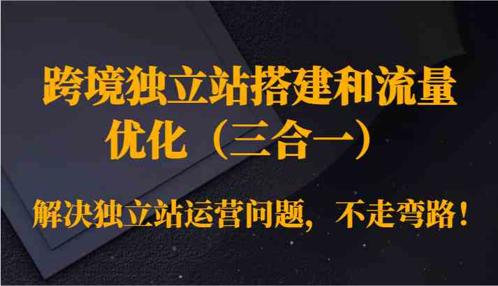 跨境独立站搭建和流量优化（三合一）解决独立站运营问题，不走弯路！-韬哥副业项目资源网