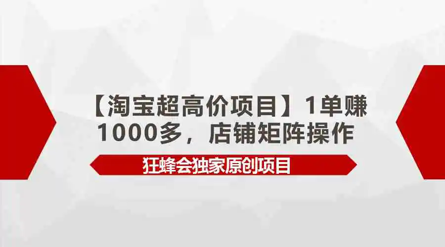 （9849期）【淘宝超高价项目】1单赚1000多，店铺矩阵操作-韬哥副业项目资源网