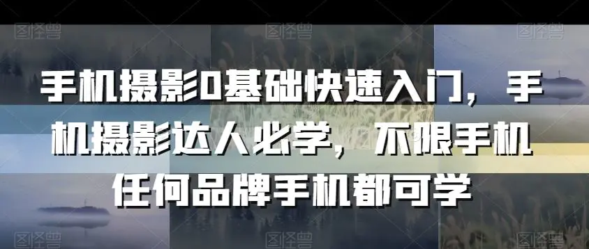 手机摄影0基础快速入门，手机摄影达人必学，不限手机任何品牌手机都可学-韬哥副业项目资源网