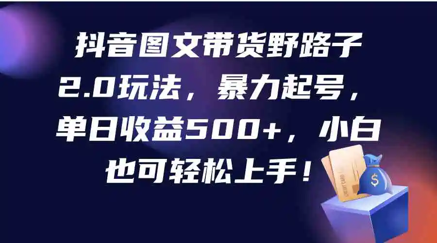 （9790期）抖音图文带货野路子2.0玩法，暴力起号，单日收益500+，小白也可轻松上手！-韬哥副业项目资源网