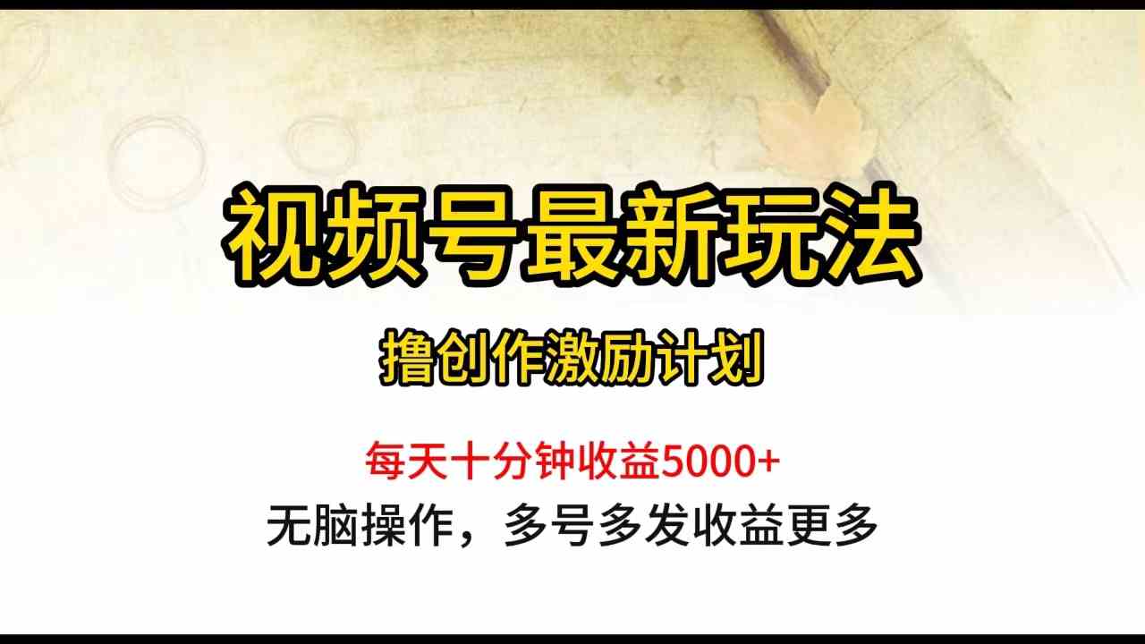 （10087期）视频号最新玩法，每日一小时月入5000+-韬哥副业项目资源网