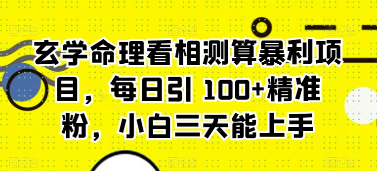 风水玄学八字命理算命计算赚钱项目，每日引 100 精准粉，新手三天可以上手-韬哥副业项目资源网