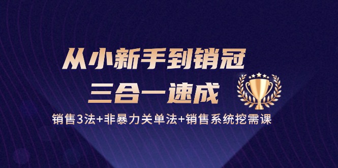 从小新手到销冠三合一速成：销售3法+非暴力关单法+销售系统挖需课 (27节)-韬哥副业项目资源网