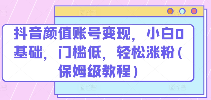 抖音颜值账号变现，小白0基础，门槛低，​轻松涨粉(保姆级教程)【揭秘】-韬哥副业项目资源网