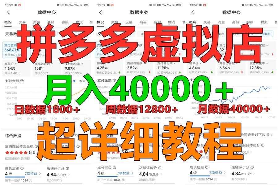 拼多多虚拟电商训练营月入40000+，全网最详细，你做你也行，暴利稳定长久-韬哥副业项目资源网