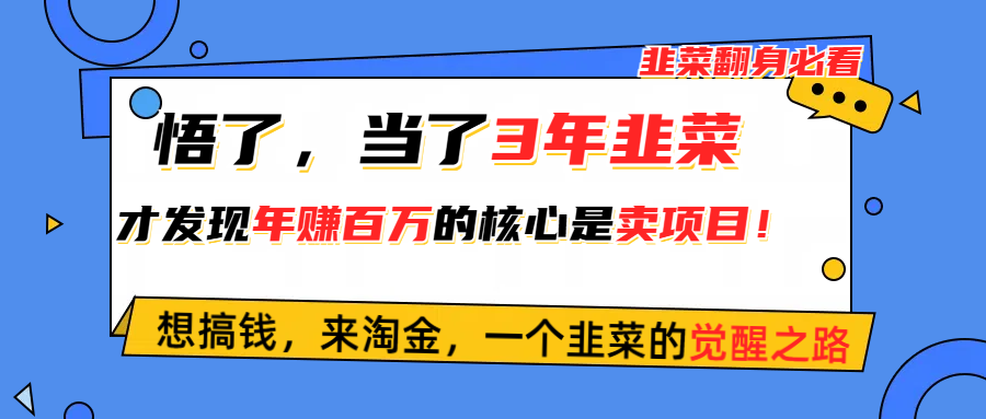 （10759期）悟了，当了3年韭菜，才发现网赚圈年赚100万的核心是卖项目，含泪分享！-韬哥副业项目资源网