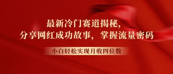 全新小众跑道揭密，分享网红成功的故事，新手快速掌握总流量登陆密码-韬哥副业项目资源网