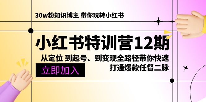 （10666期）小红书的夏令营12期：从精准定位 到养号、到转现全路径陪你迅速连通爆品任督二脉-韬哥副业项目资源网