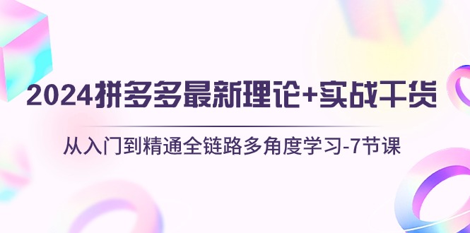 （10816期）2024拼多多 最新理论+实战干货，从入门到精通全链路多角度学习-7节课-韬哥副业项目资源网