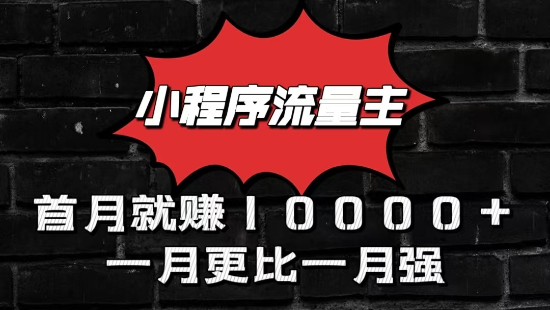 小程序流量主首月就赚10000+，一月更比一月强！小本创业首选-韬哥副业项目资源网