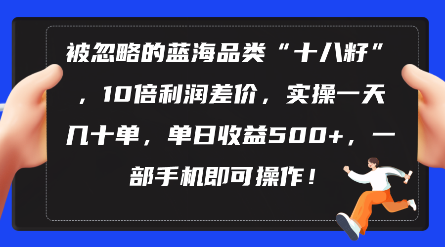 （10696期）被忽视瀚海类目“十八籽”，10倍盈利价格差，实际操作一天几十单 单日盈利500-韬哥副业项目资源网