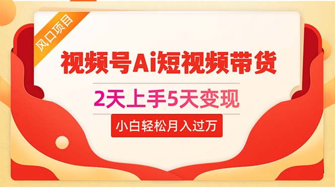 （10807期）2天上手5天变现视频号Ai短视频带货0粉丝0基础小白轻松月入过万-韬哥副业项目资源网