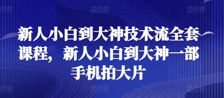 新手菜鸟到高手技术控整套课程内容，新手菜鸟到高手一部手机拍大片-韬哥副业项目资源网