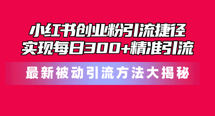 （10692期）小红书的自主创业粉引流方法近道！全新被动引流方式大曝光，完成每日300 精准引流方法-韬哥副业项目资源网