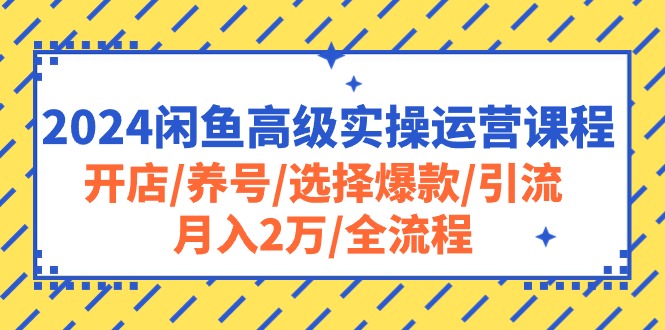 （10711期）2024闲鱼平台高端实际操作营销课程：开实体店/起号/挑选爆品/引流方法/月入2万/全过程-韬哥副业项目资源网