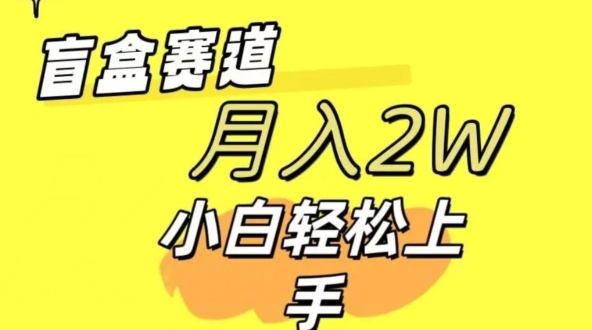 2024交友盲盒 同城网搭子群新项目全新游戏玩法运单号日入多张 可大批量-韬哥副业项目资源网