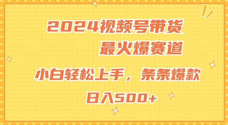 2024微信视频号超受欢迎跑道，新手快速上手，纯原创设计AI卖货，一条条爆品-韬哥副业项目资源网