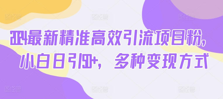 2024全新高效便捷引流项目粉，新手日引50 ，多种多样变现模式-韬哥副业项目资源网