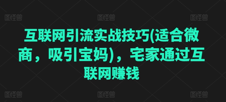 互联网引流实战经验(适宜微商代理，吸引住宝妈妈)，蹲在家里根据网络赚钱-韬哥副业项目资源网