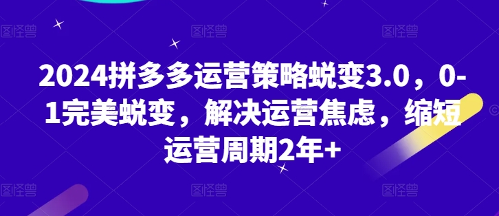 2024拼多多运营对策成长3.0，0-1华丽蜕变，处理经营焦虑情绪，减少运营周期2年-韬哥副业项目资源网