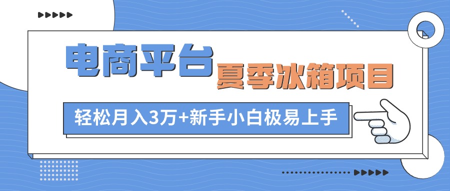 （10934期）电商平台夏季冰箱项目，轻松月入3万+，新手小白极易上手-韬哥副业项目资源网