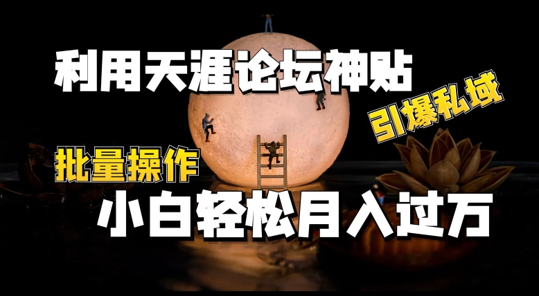 运用天涯社区神贴，点爆公域，批量处理，新手轻轻松松月入了w【揭密】-韬哥副业项目资源网