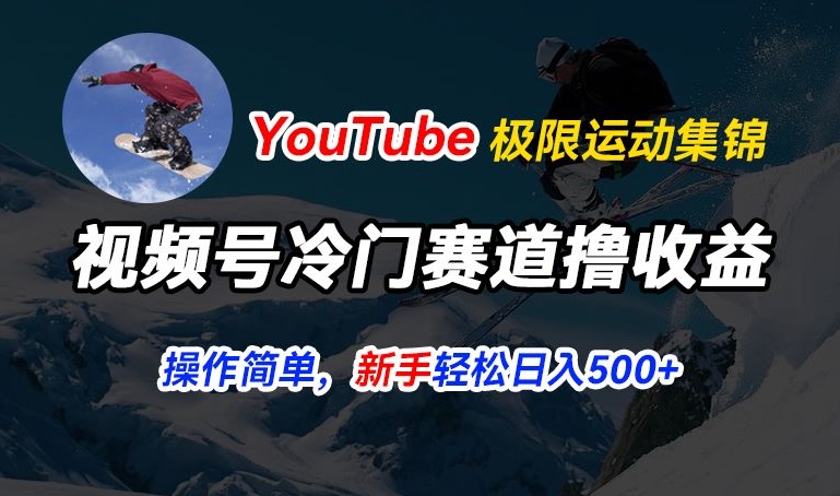 微信视频号小众跑道撸盈利，YouTube运送滑雪运动合集，暴力行为养号，使用方便总流量高，轻轻松松日入5张【揭密】-韬哥副业项目资源网