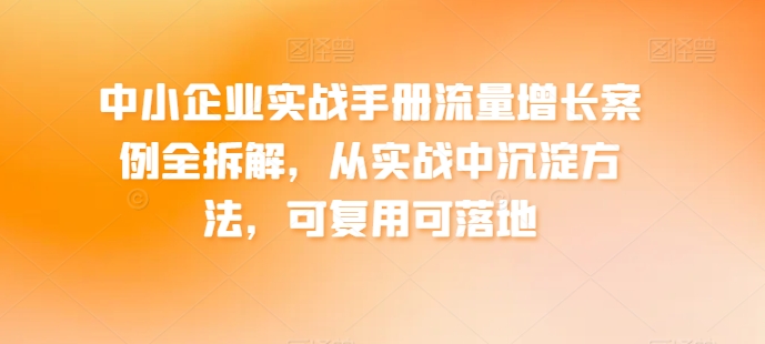 中小型企业实战演练指南流量增长实例全拆卸，从训练中沉积方式，复用可落地式-韬哥副业项目资源网