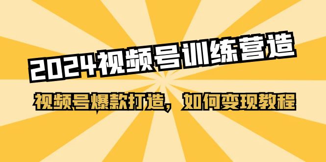 （11135期）2024视频号训练营，视频号爆款打造，如何变现教程（20节课）-韬哥副业项目资源网