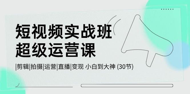 短视频实战班超级运营课 |剪辑|拍摄|运营|直播|变现 小白到大神 (30节)-韬哥副业项目资源网