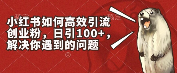 小红书的如何有效引流方法自主创业粉，日引100 ，解决你遇到的困难【揭密】-韬哥副业项目资源网