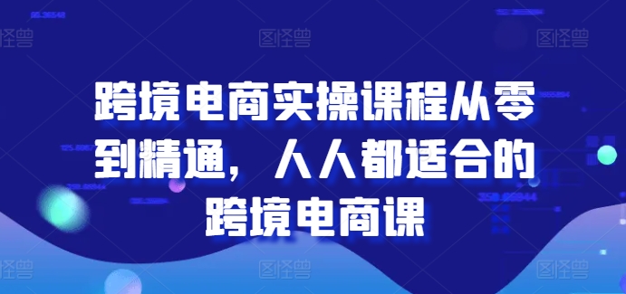 跨境电子商务实操课程从零到熟练，每个人都最适合的跨境电子商务课-韬哥副业项目资源网