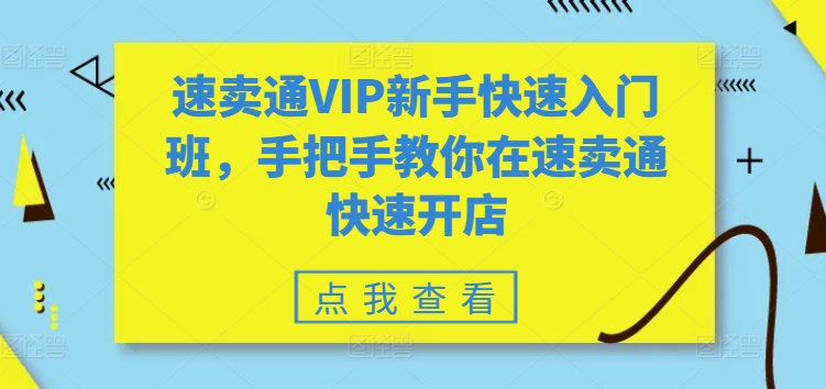 全球速卖通VIP初学者快速上手班，教你如何在全球速卖通迅速开实体店-韬哥副业项目资源网