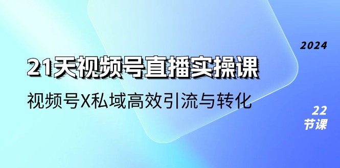 （10966期）21天-视频号直播实操课，视频号X私域高效引流与转化（22节课）-韬哥副业项目资源网