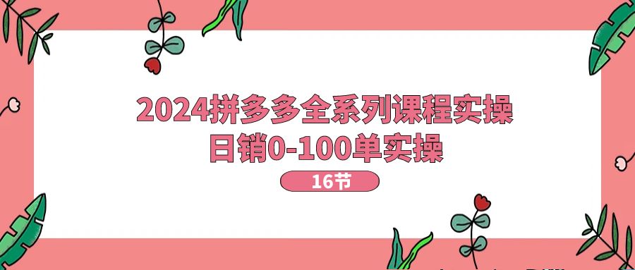 （11222期）2024拼多多全系列课程实操，日销0-100单实操【16节课】-韬哥副业项目资源网