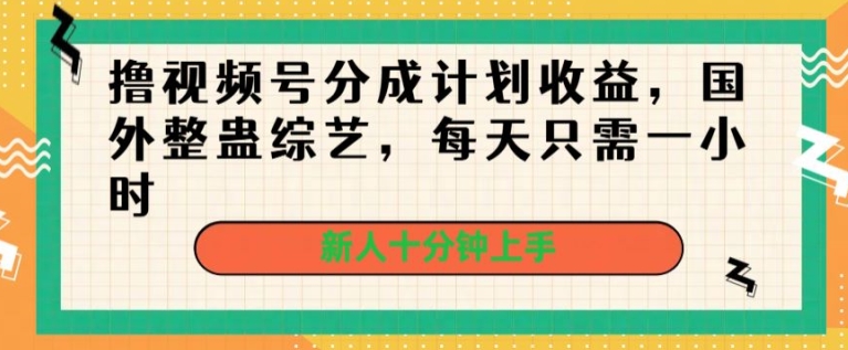 撸视频号分成计划收益，国外整蛊综艺，每天只需一小时，新人十分钟上手-韬哥副业项目资源网