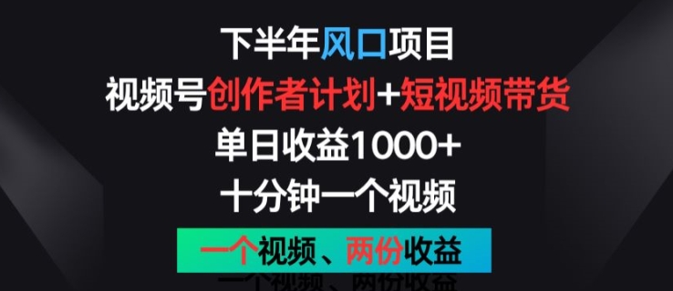 后半年蓝海项目，微信视频号创作者计划 短视频带货，一个视频二份盈利，十分钟一个视频【揭密】-韬哥副业项目资源网