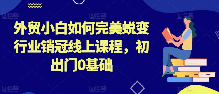 外贸小白如何完美蜕变行业销冠线上课程，初出门0基础-韬哥副业项目资源网