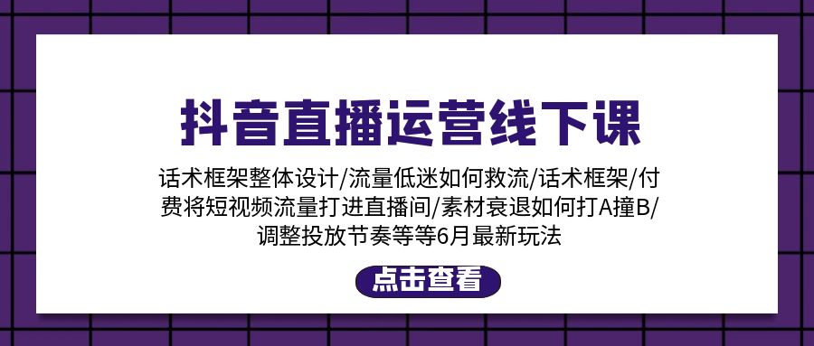 （11211期）抖音直播运营线下课：话术框架/付费流量直播间/素材A撞B/等6月新玩法-韬哥副业项目资源网