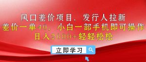 （10827期）出风口价格差新项目，外国投资者引流，价格差一单40，小白一手机即可操作，日入20…-韬哥副业项目资源网