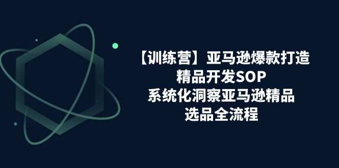 （11210期）【训练营】亚马逊爆款打造之精品开发SOP，系统化洞察亚马逊精品选品全流程-韬哥副业项目资源网