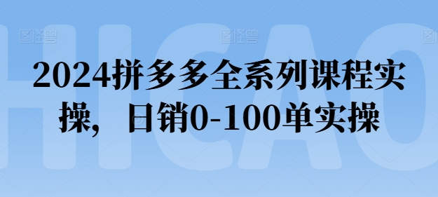 2024拼多多平台全主题课程实际操作，日销0-100单实际操作【必读】-韬哥副业项目资源网