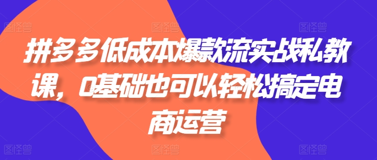 拼多多平台降低成本爆品流实战演练私教，0基本还可以轻松解决网店运营-韬哥副业项目资源网