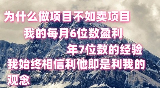 做项目不如卖项目，每月6位数盈利，年7位数经验-韬哥副业项目资源网