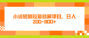 小说短剧拉新自刷项目，日入200-800+-韬哥副业项目资源网